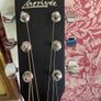 Larrivee OM-03 SP with passive  pick up and Larriveehard case. Image 2