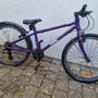 Frog bike 62