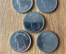 Pound Coin