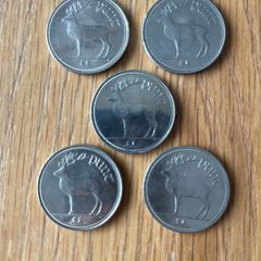 Pound Coin
