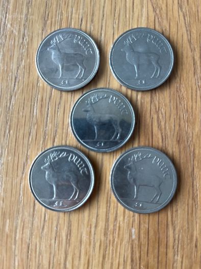 Pound Coin