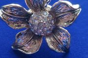 dress ring 3 for 2 on all clothing and jewellery