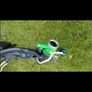 vw polo fuel tank Image 2