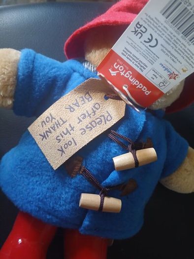 Paddington bear