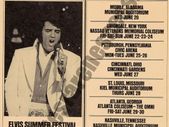 Elvis Presley RCA Promotional poster 1973 reproduction print