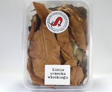 Walnut leaves for shrimps