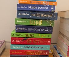David Walliams - 13 Amazing Books