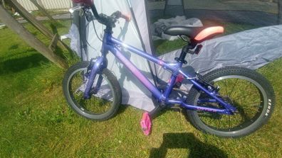 Carrera Cosmos 16" Kids Bike