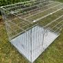 dog crate medium double door 63x55x61cm Image 3