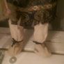 Pair of Indians porcelain doll s Image 6