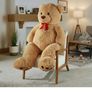 teddy bear Image 2