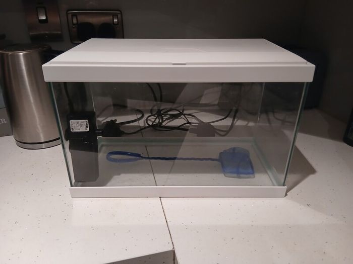 fish tank