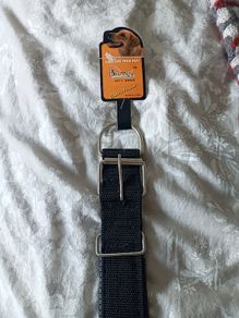 Large dog collar