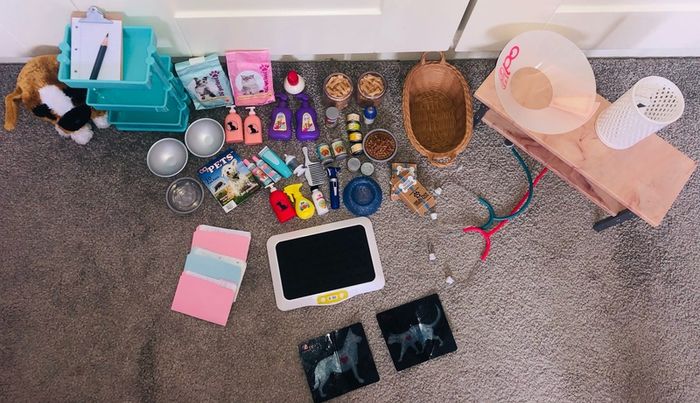 Generation doll vet set with 2 dolls and loads of accessories