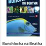 Bunchlocha na Beatha Image 3