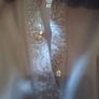 IZOD ladies tops Image 2