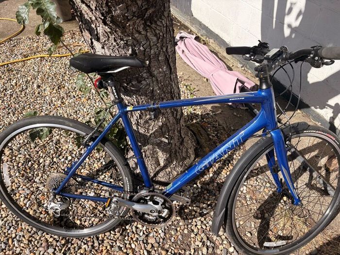 Giant Escape Road Bike