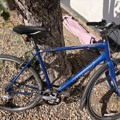 Giant Escape Road Bike