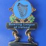 BOWLING LEAGUE OF IRELAND (Division 5 Winners 2009) - metal & enamel badge with its backing card (scarce!) Image 4