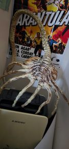 Life size 1/1 scale Alien face hugger