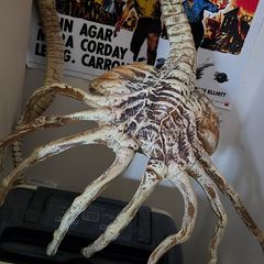 Life size 1/1 scale Alien face hugger