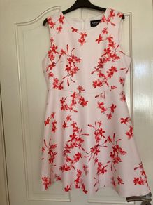 Ladies dress