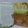 Illustrated Treasury of Animal Stories by miles kelly, LARGE HARDBACK BOOK Image 8