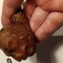 Vintage Hand Carved Wooden Pipe Image 9