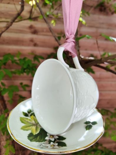 Bird feeder
