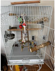 Large white bird cage