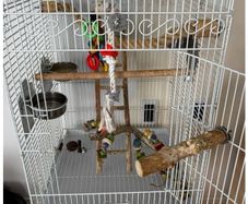 Large white bird cage