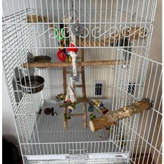Large white bird cage