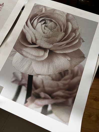 Desenio artwork print sets