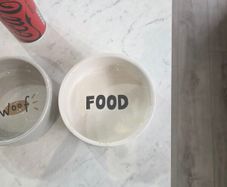 Small dog/puppy food and water bowl