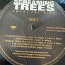 Screaming Trees - Sweet Oblivion Image 4