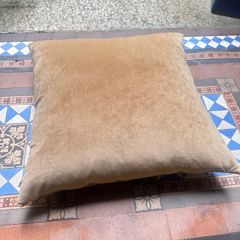 2 x Paul Costello Large Cushions