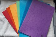 Exacompta Europa Pocket Wallet A4/Follscap File Folders/Envelopes Home Office School College
