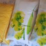 Cushions Image 3