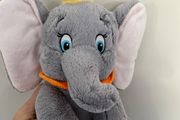 Dumbo Teddy