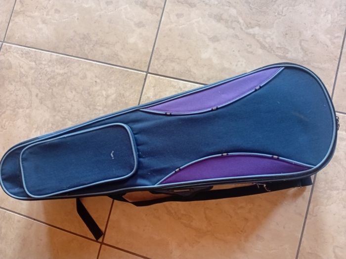 Stentor Violin