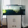 fish tank aquarium Image 5