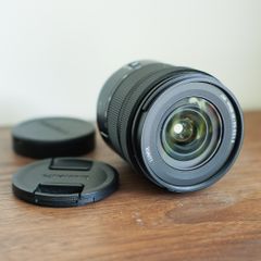Lumix 20-60mm lens