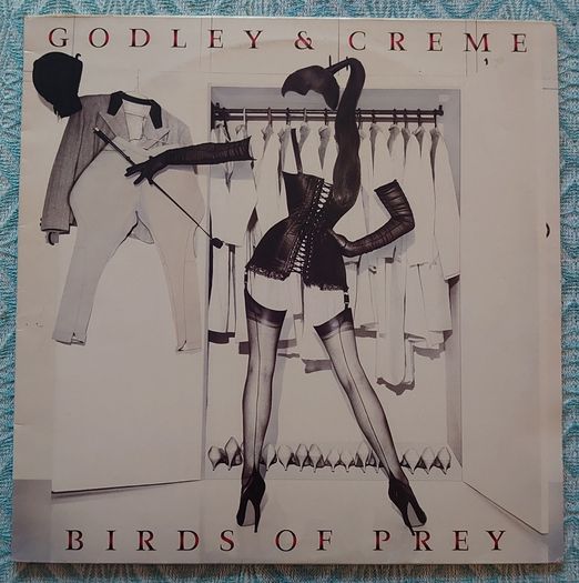 Godley & Creme - Birds Of Prey - Vinyl