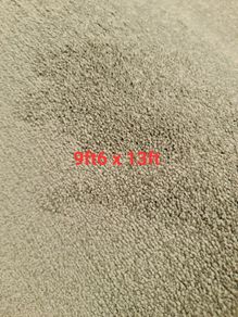 carpet 9ft6 x 13ft