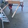 donkey cart Image 4