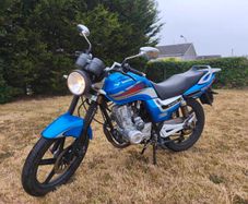 2017 Lexmoto Unknown