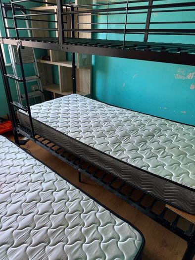 Bunk