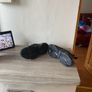 Balenciaga dupes runners size 38 Image 4
