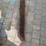 broom Image 2