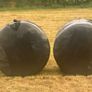 Bales of haylage Image 4